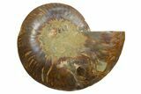 Cut & Polished Ammonite Fossil (Half) - Madagascar #347507-1
